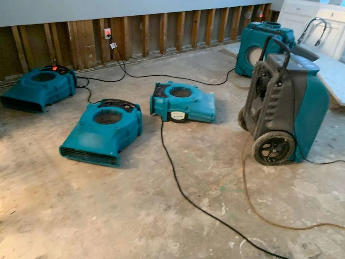 Water Damage Restoration services in University Heights, OH